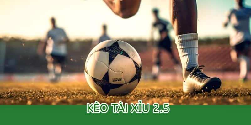 kèo tài xỉu 2.5